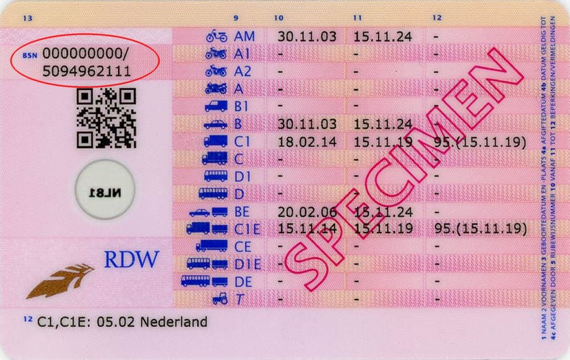 Example of a Dutch driving license card